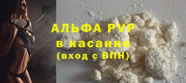 прущие грибы Белокуриха
