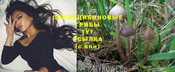 экстази Богданович