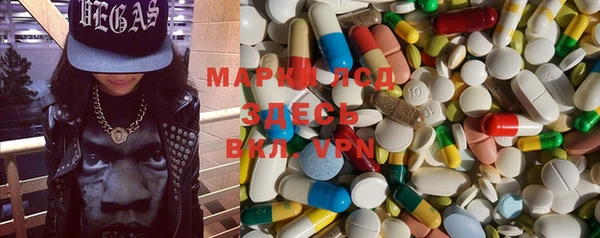 прущие грибы Белокуриха