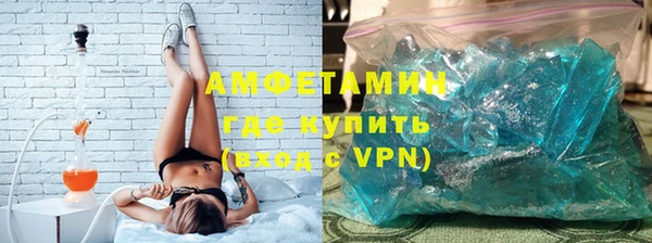 прущие грибы Белокуриха