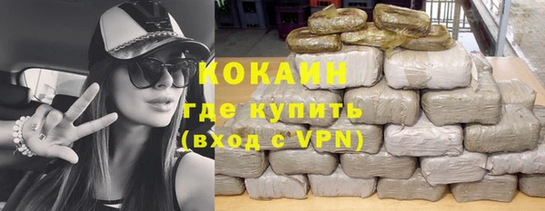 прущие грибы Белокуриха