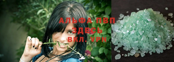 прущие грибы Белокуриха